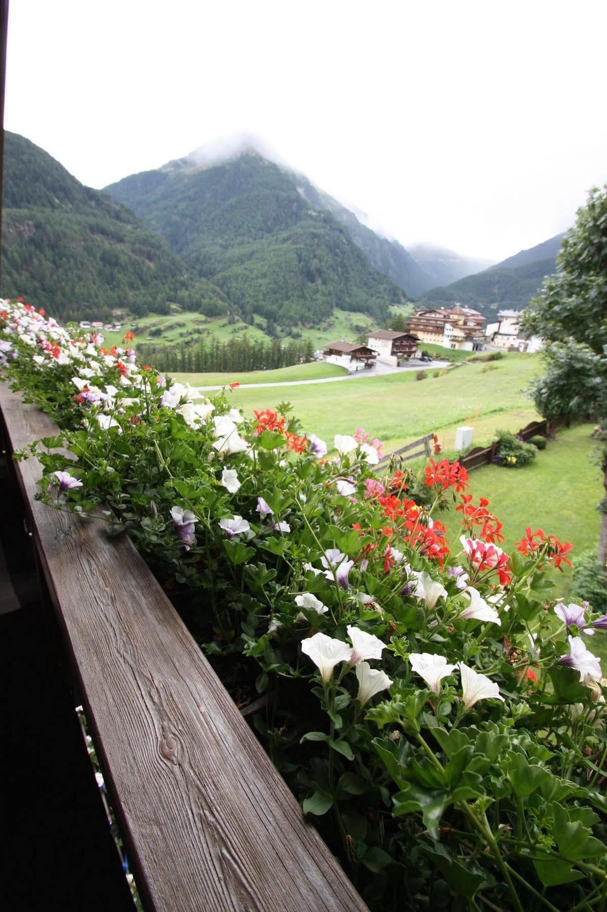 Haus Sonnenhang เซิลเดน ภายนอก รูปภาพ